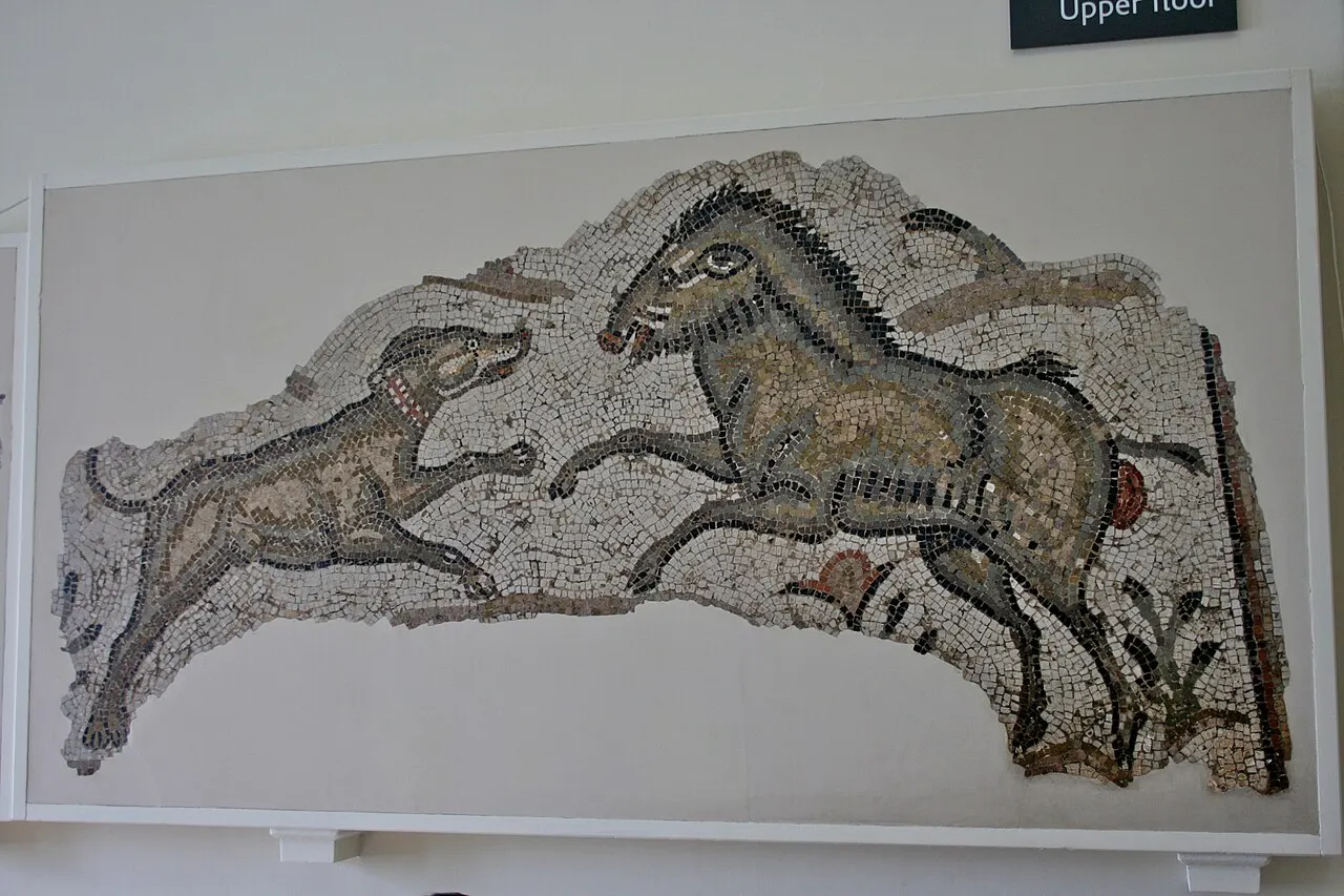 Illustratieve foto bij het feit Romeinse huisdieren kregen poëtische namen